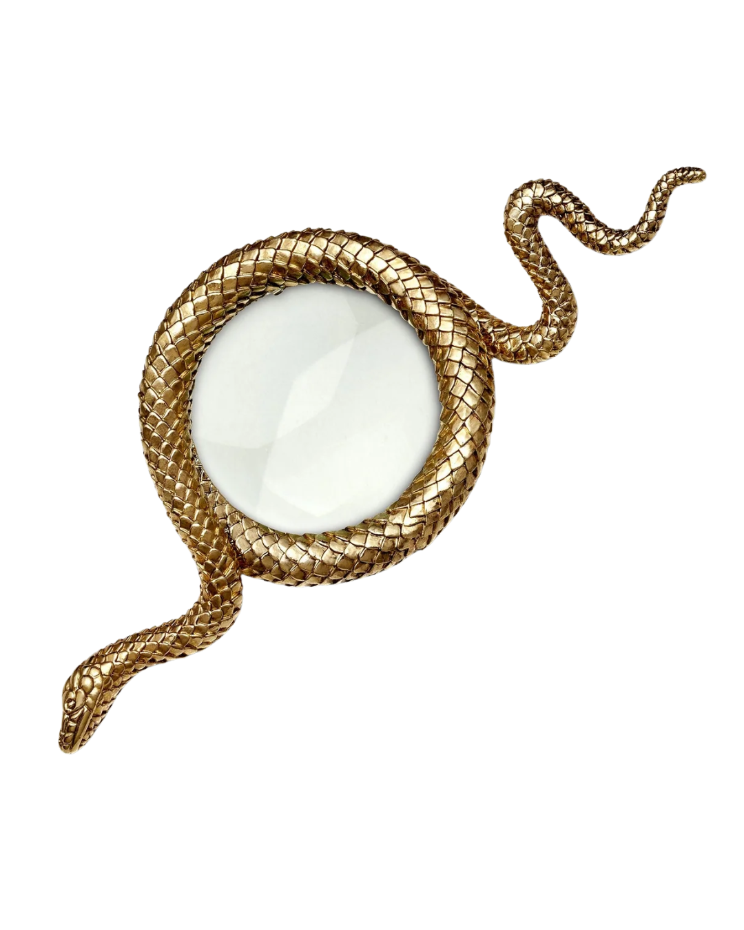 Snake Magnifying Glass - Small