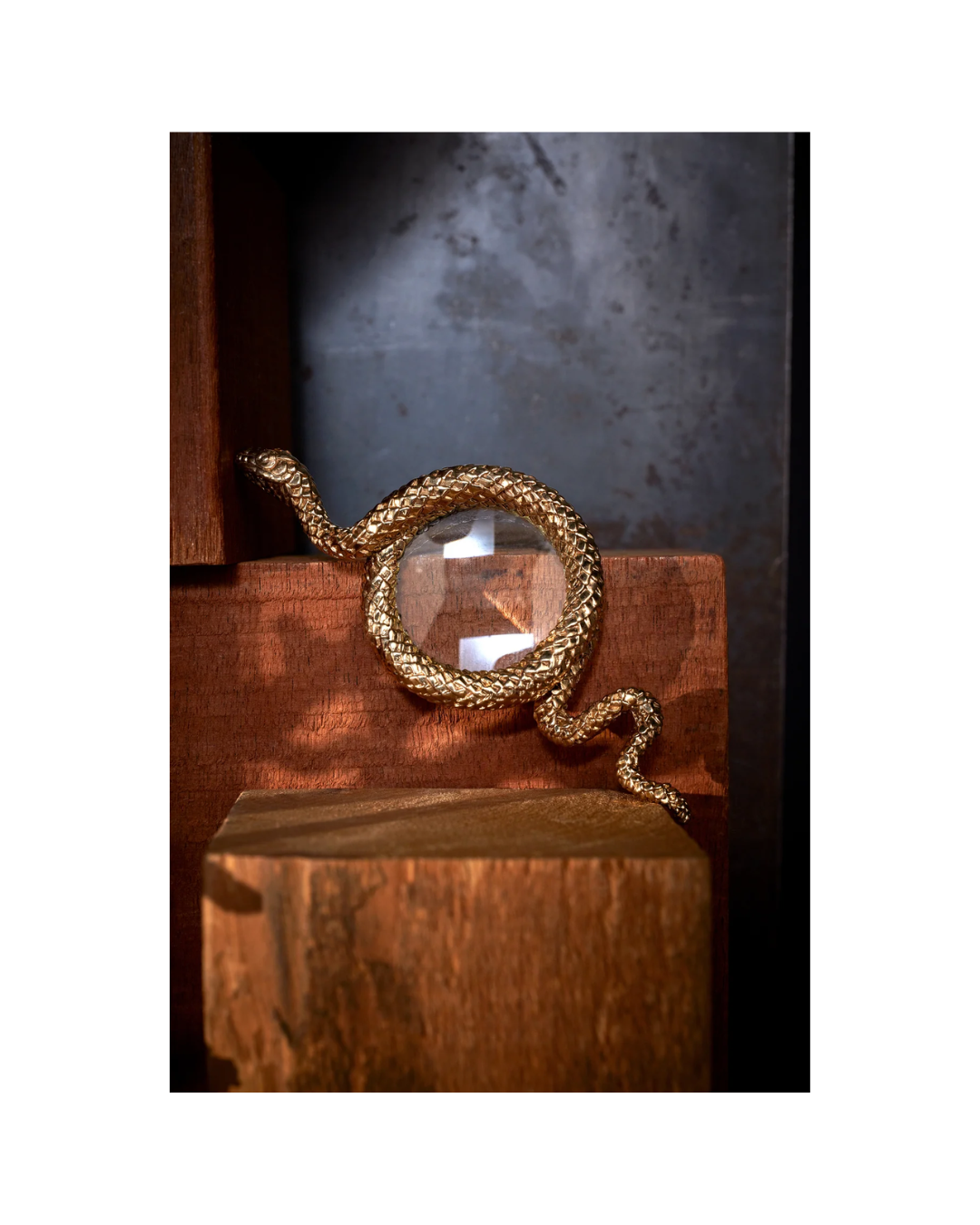 Snake Magnifying Glass - Small