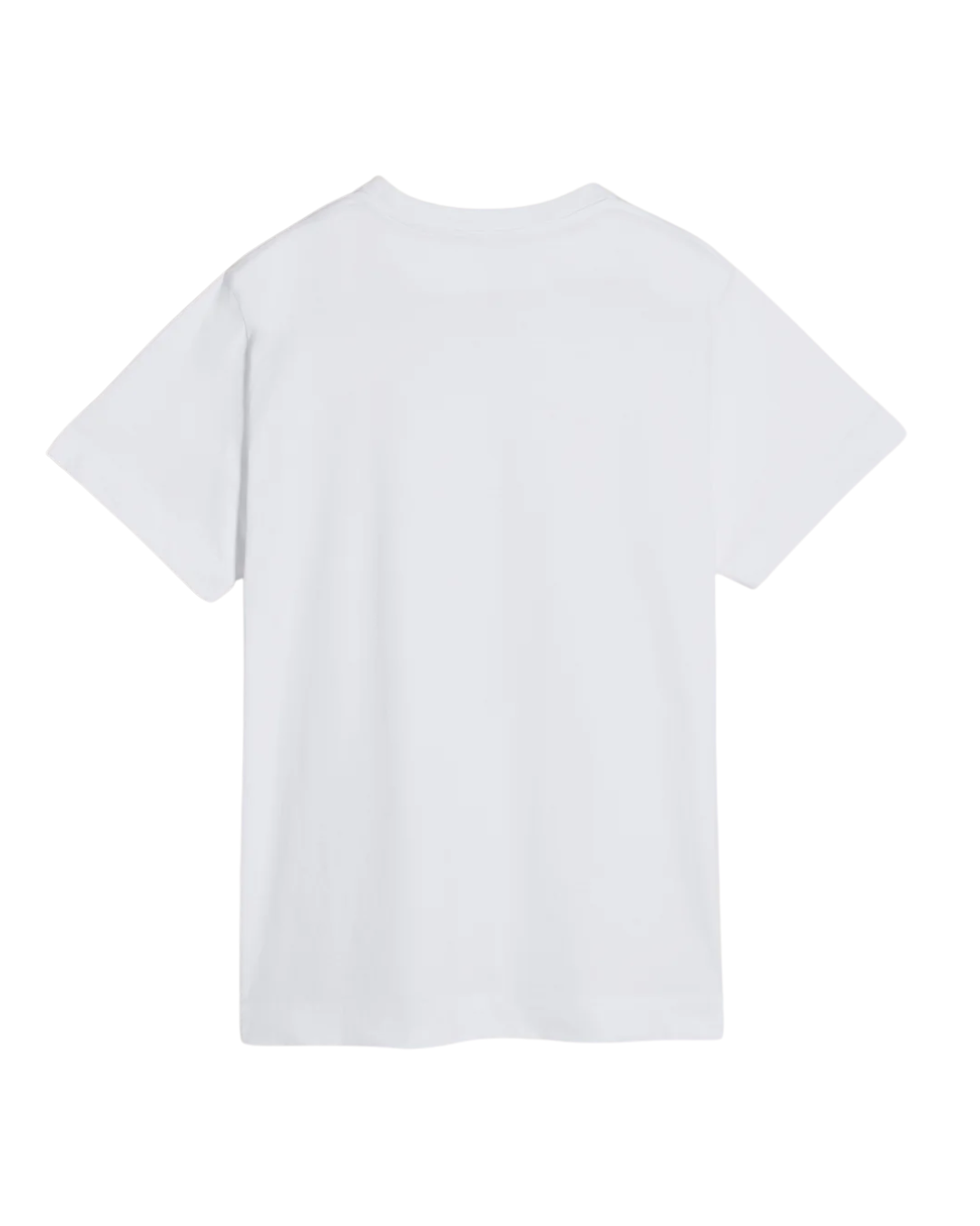 Rasterised Pressed Rosette Print T-Shirt