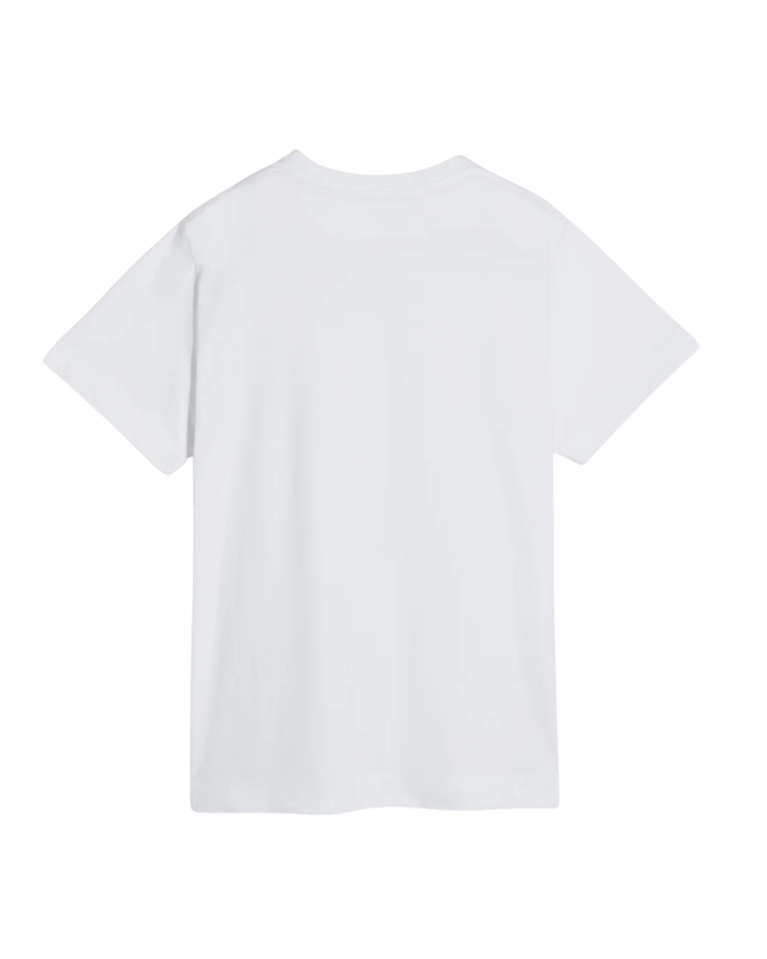 Poppy Field Print T-Shirt