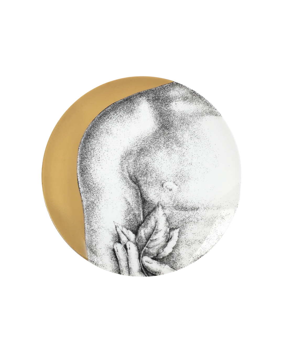 Set 12 Plates Adamo