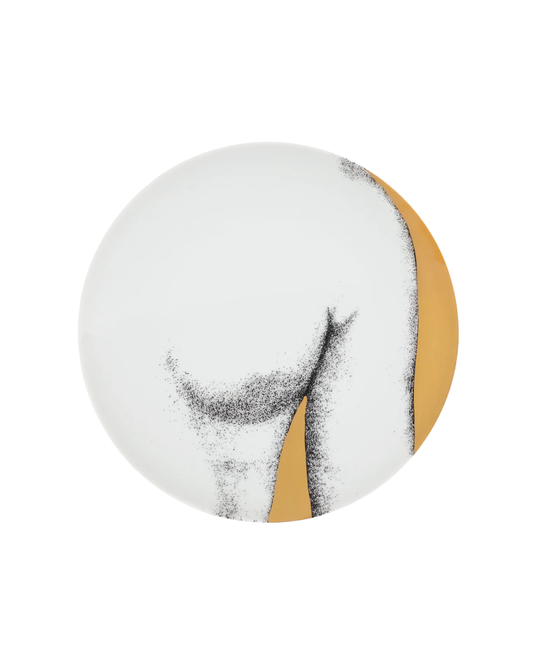 Set 12 Plates Eva