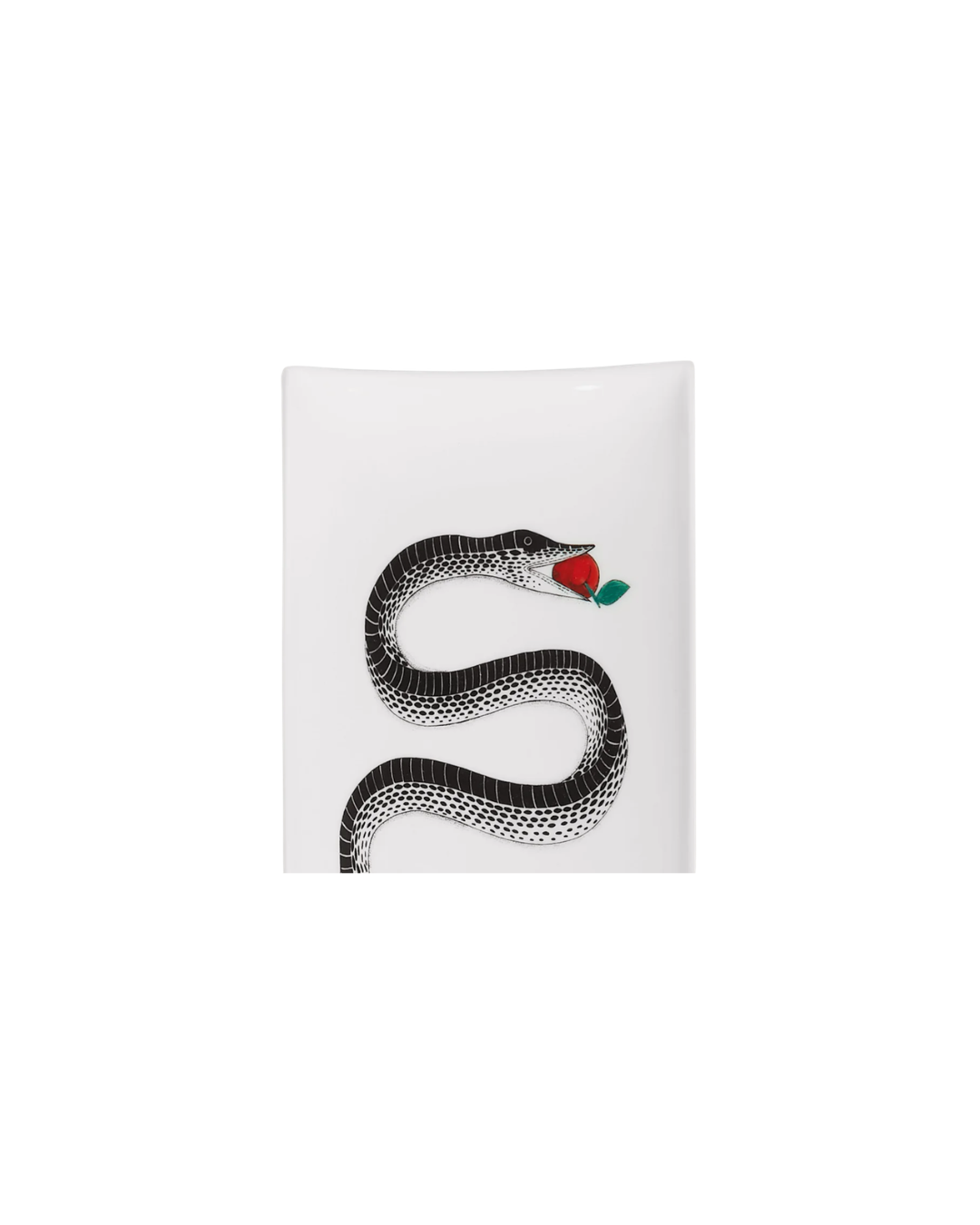 Rectangular Snake Tray