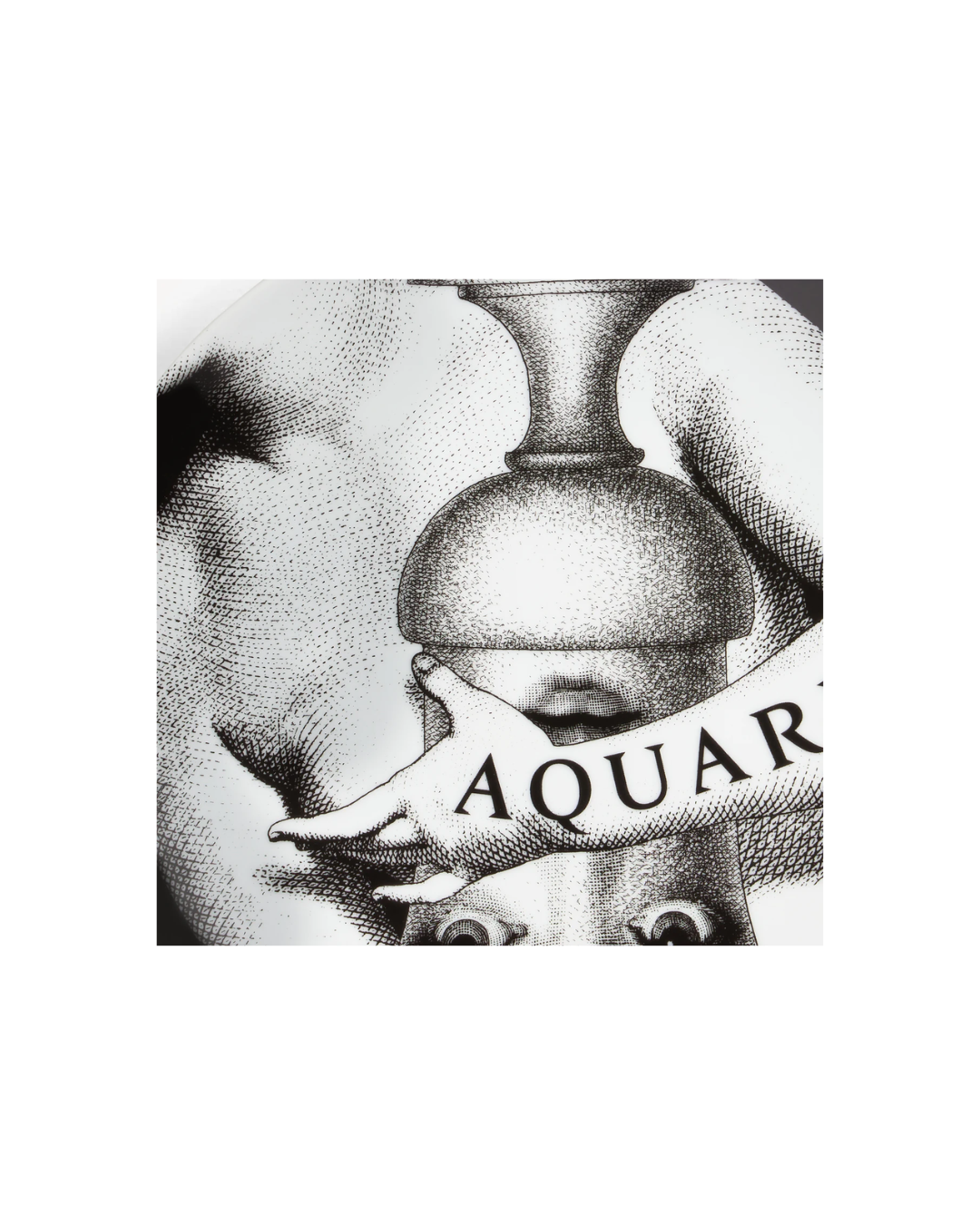 Zodiaco Aquarius - Tema e Variazioni Wall Plate n.358