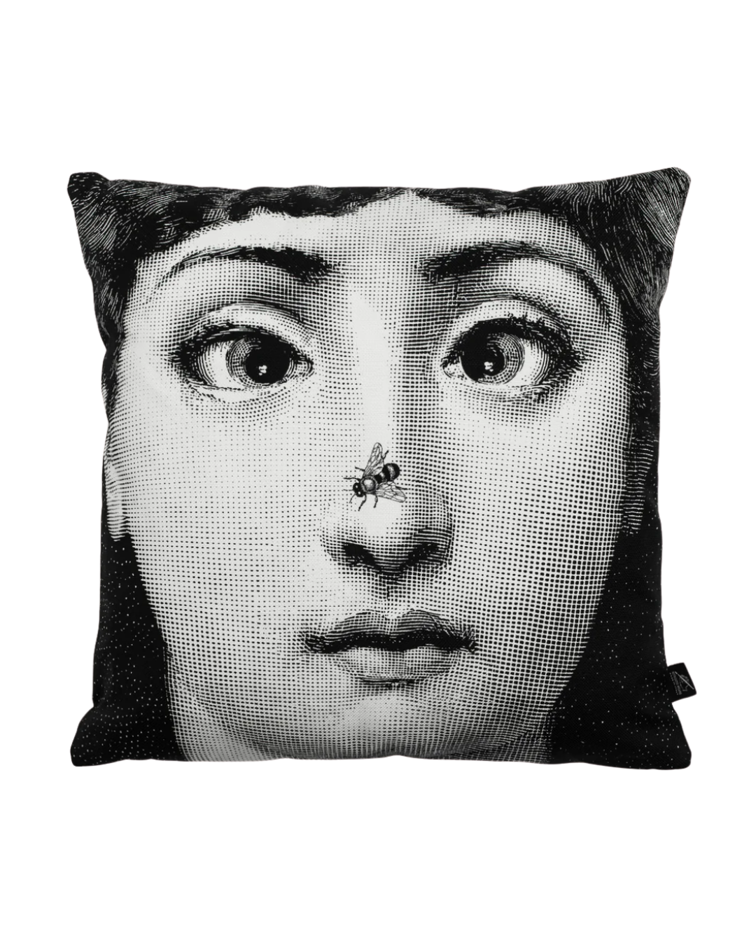 Cushion Ape