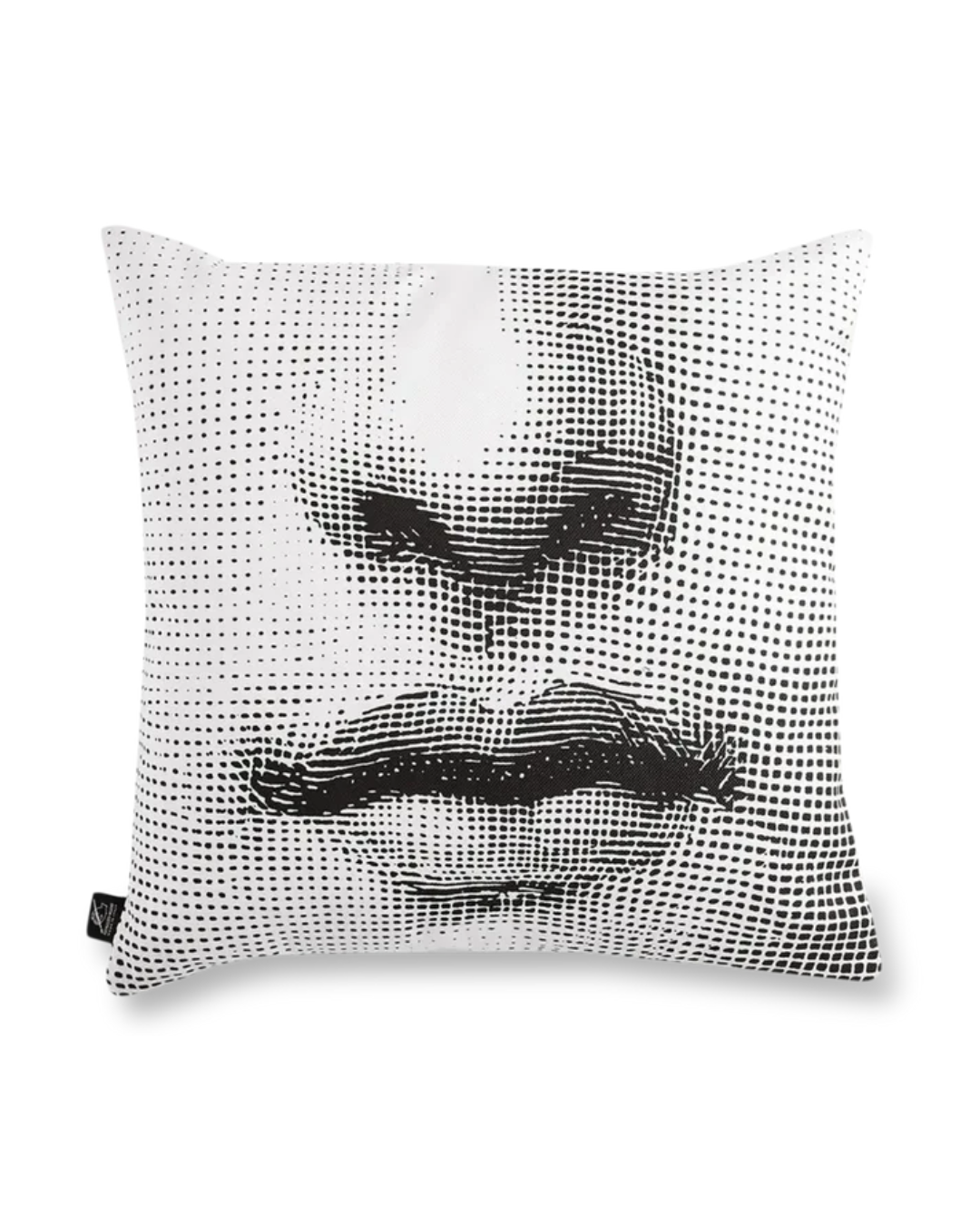 Cushion Tema e Variazioni n.397