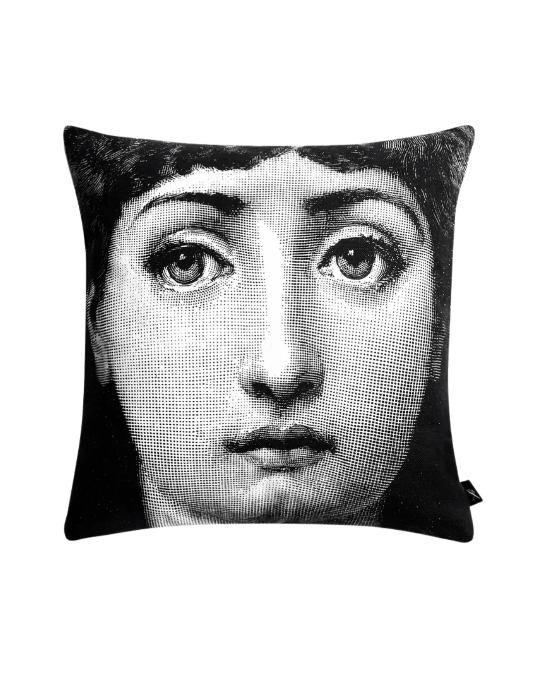 Cushion Tema e Variazioni n. 1-6