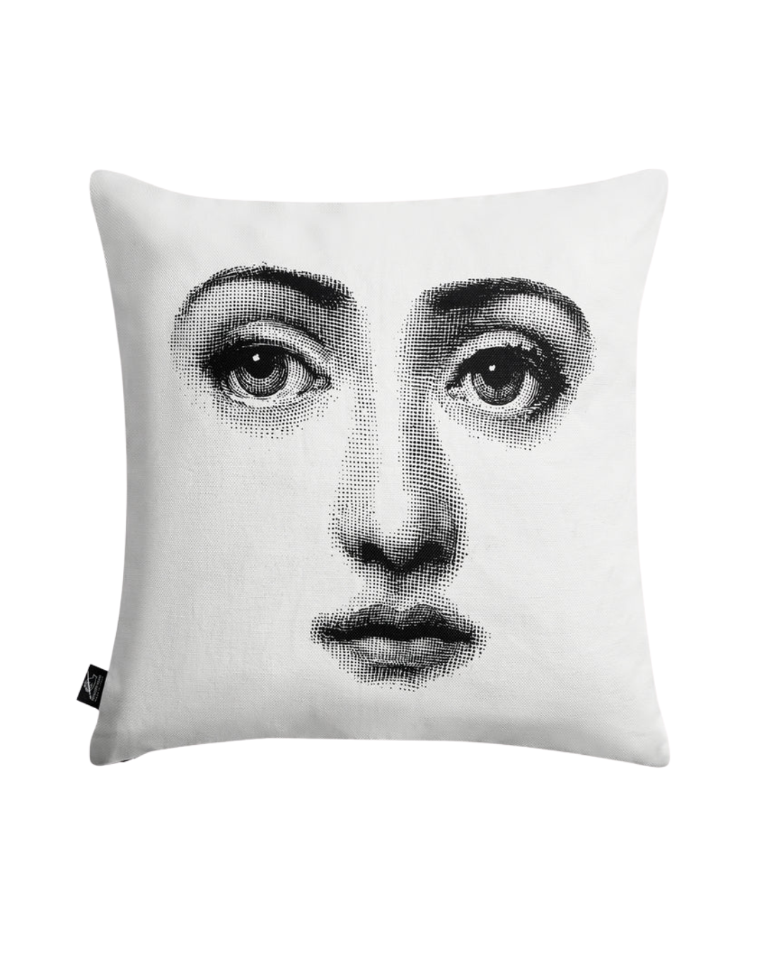 Cushion Tema e Variazioni n. 1-6