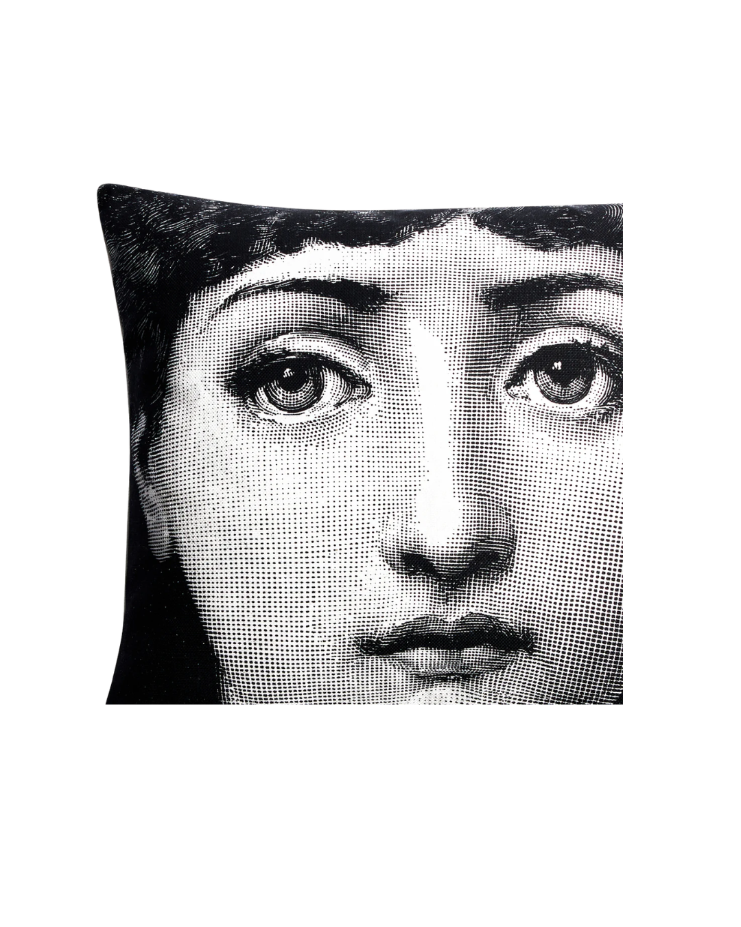 Cushion Tema e Variazioni n. 1-6
