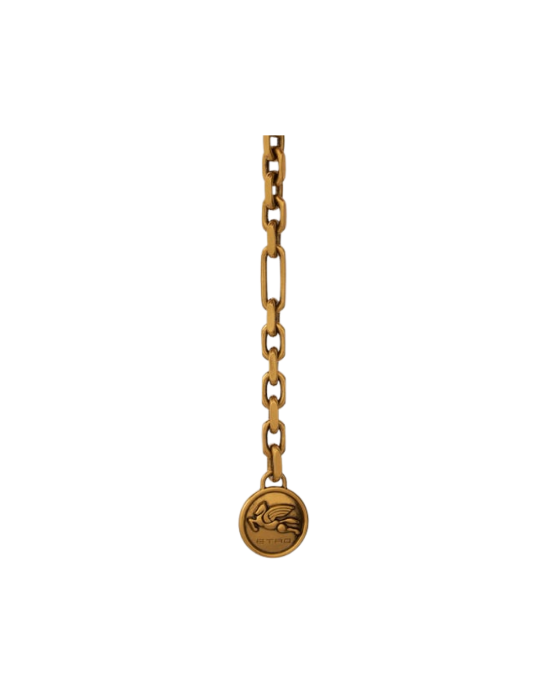 Pegaso Chain belt With Coins