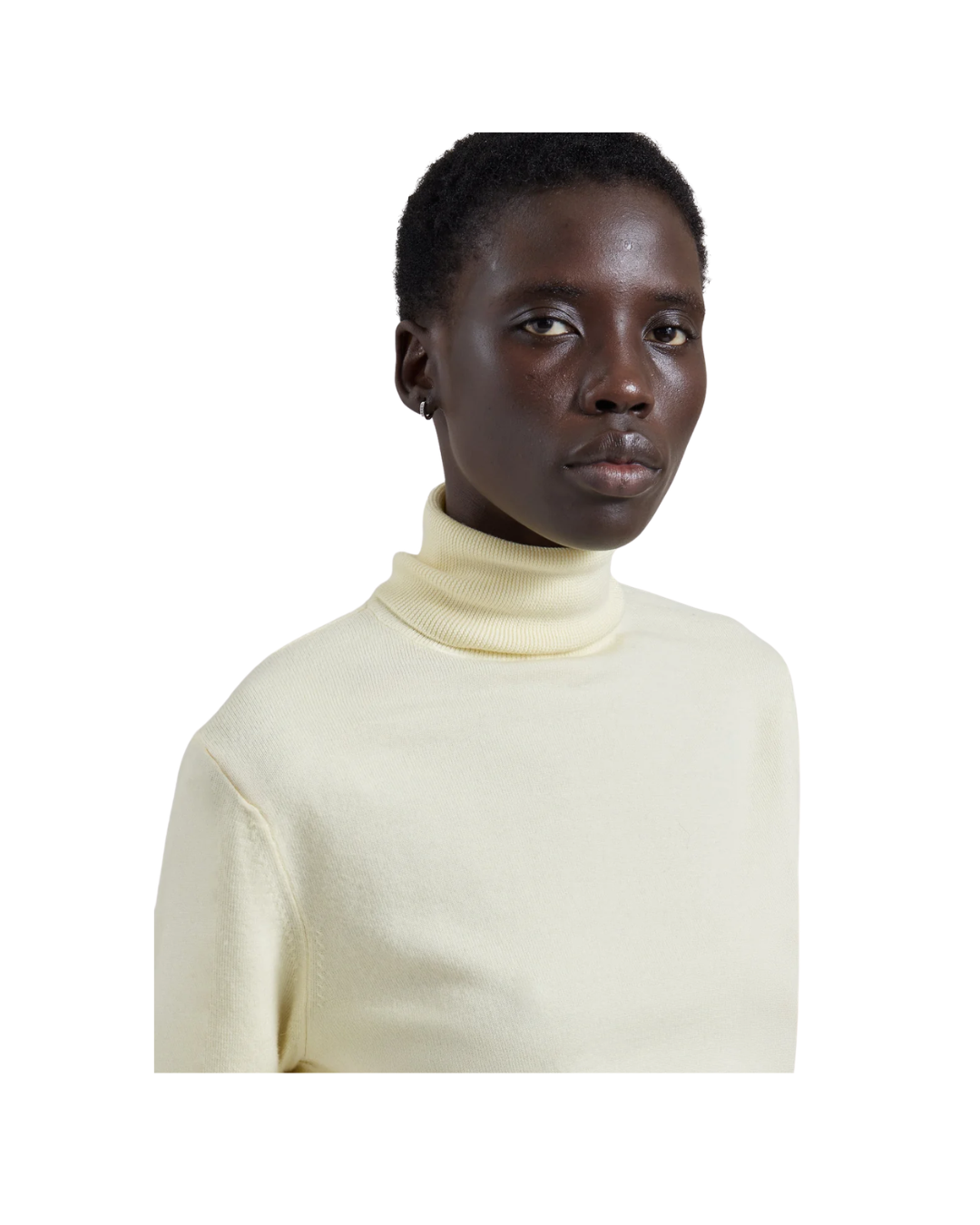 Eve Thin Turtleneck Sweater