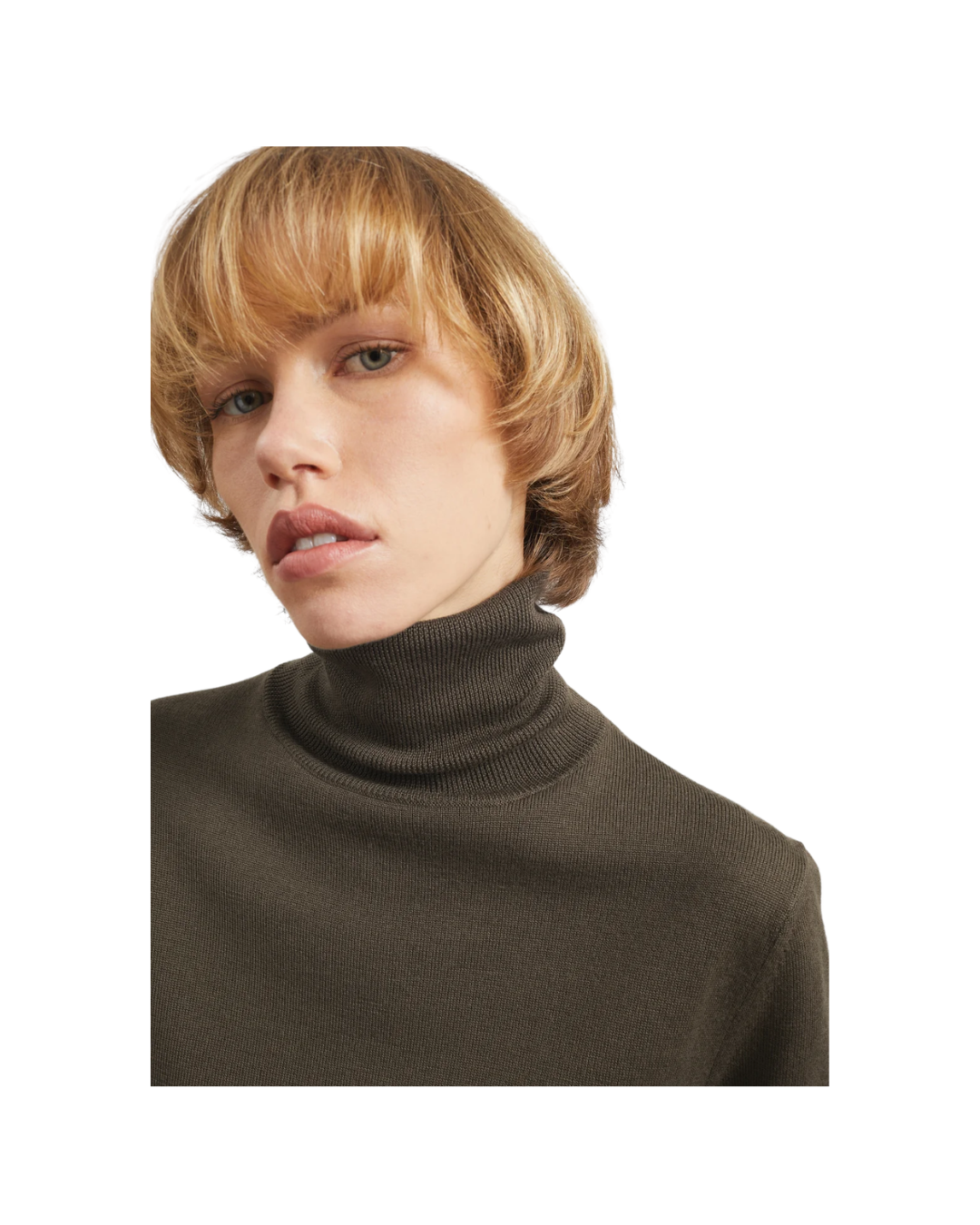 Eve Thin Turtleneck Sweater