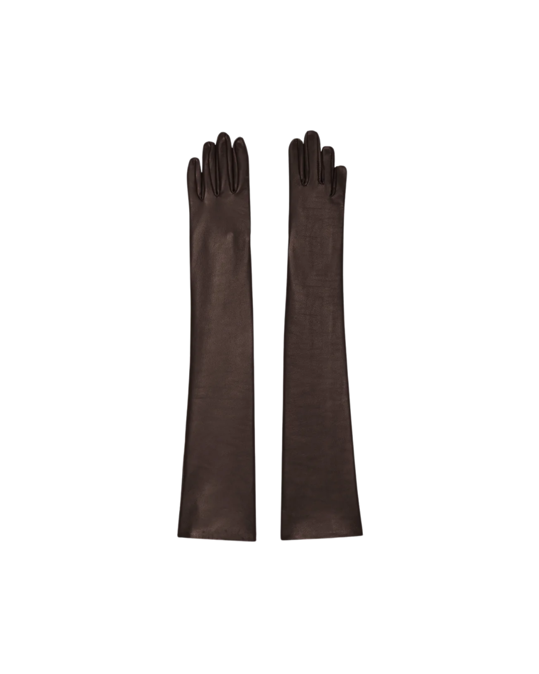 Veneto Long Leather Gloves