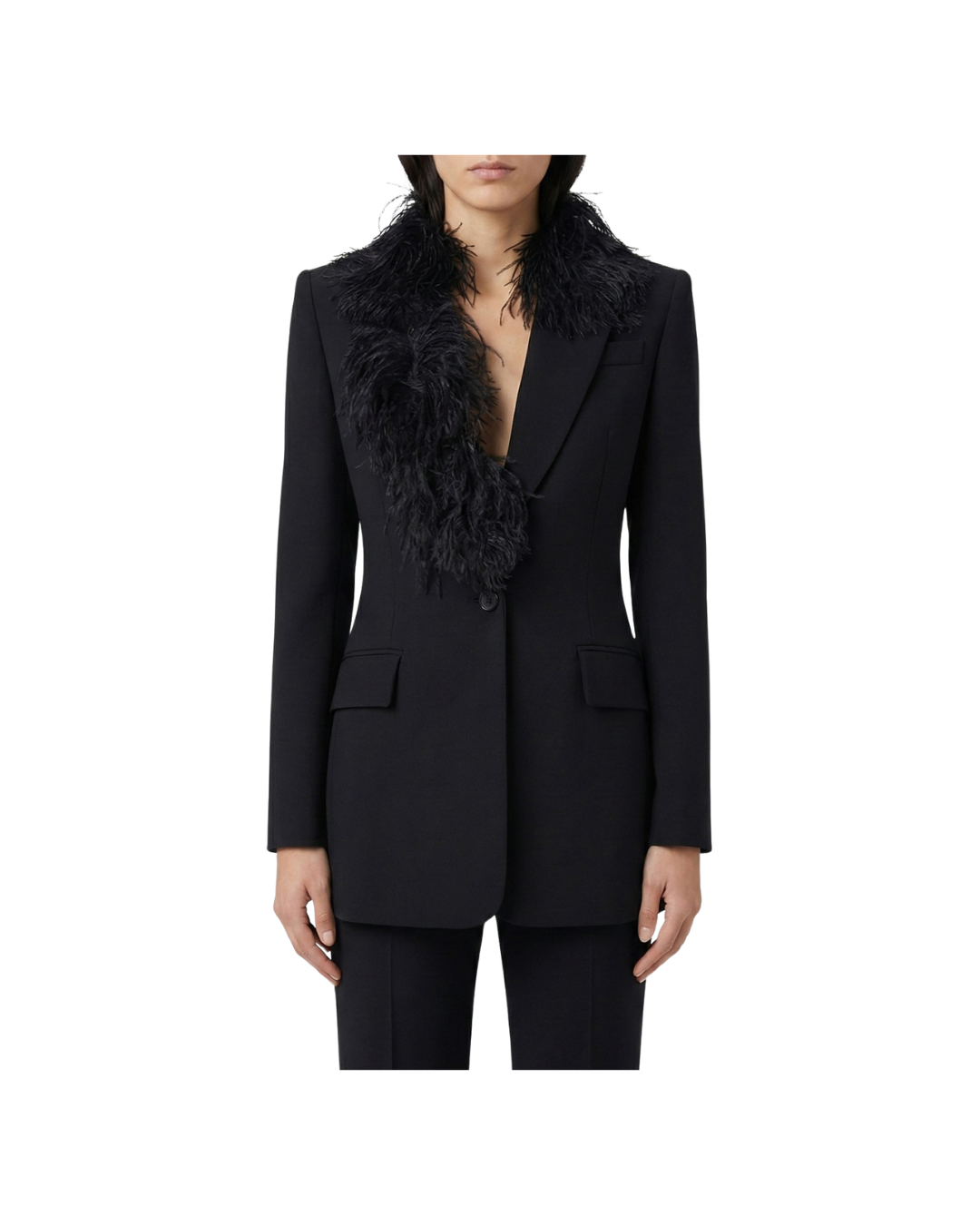 Single-breasted Blazer With Feathers