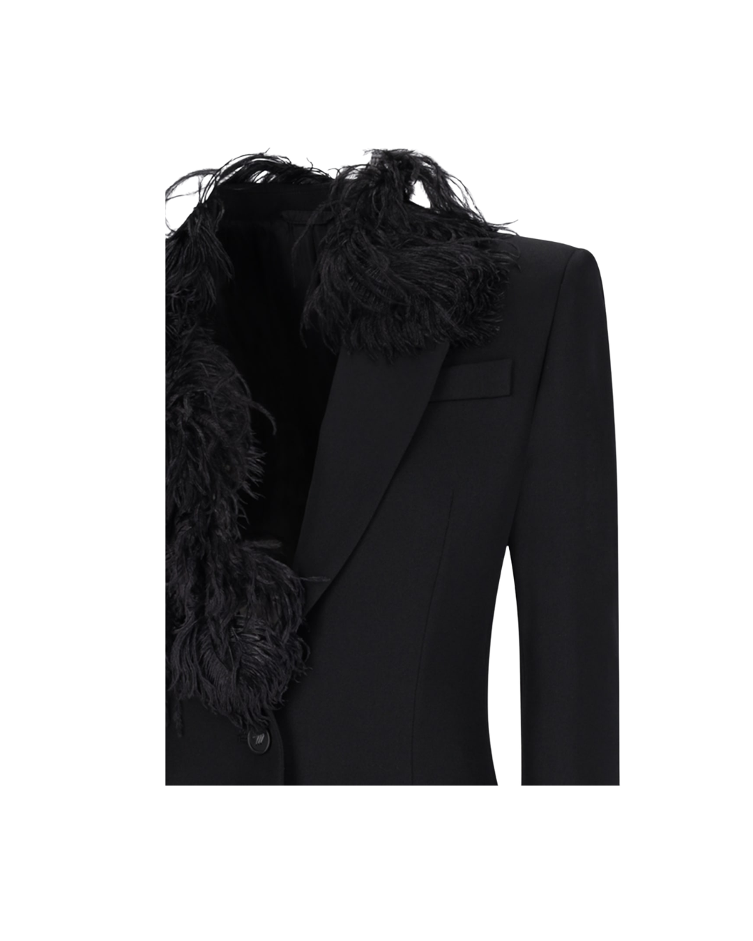 Single-breasted Blazer With Feathers