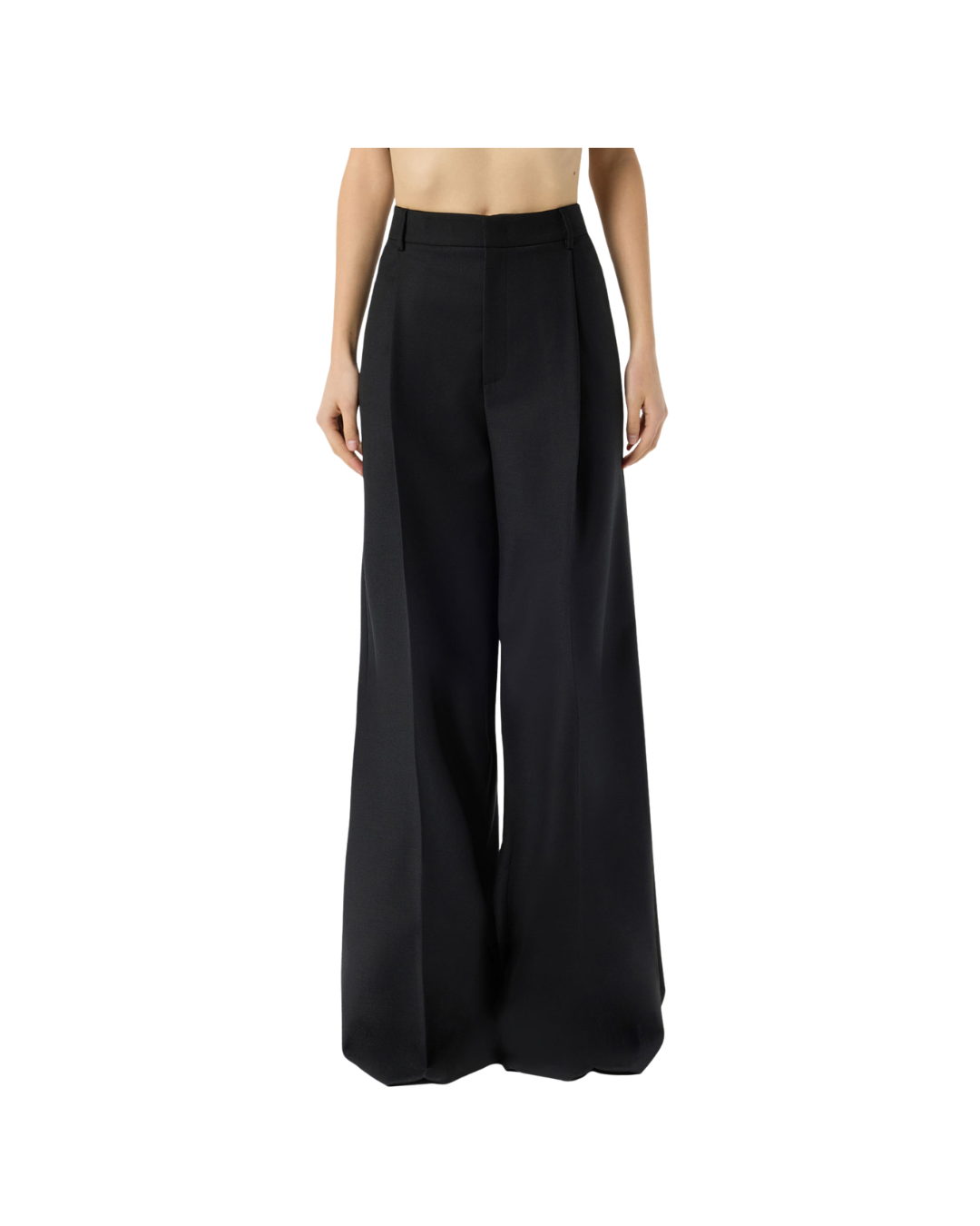 Palazzo Trousers With Pleats