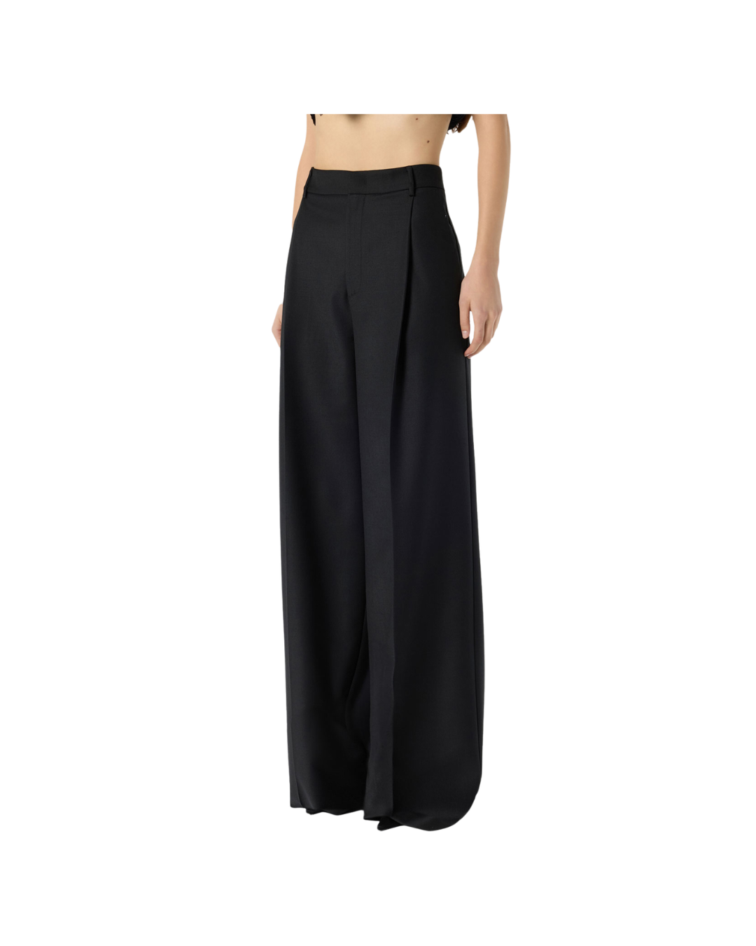 Palazzo Trousers With Pleats